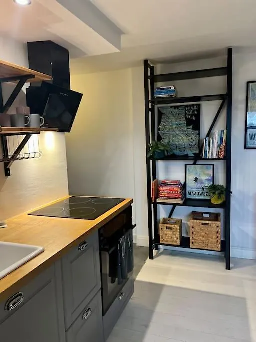 French Penthouse Apartment Warsaw